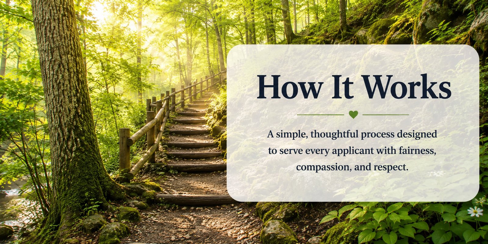 Wooden steps winding through a peaceful Appalachian forest, symbolizing guidance, hope, and the step-by-step application process of Mountain Heart Ministries.