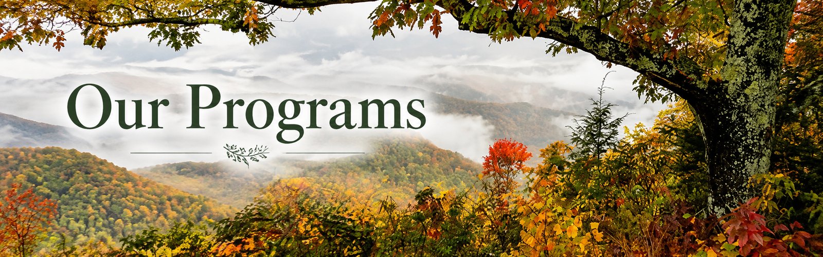 Autumn Appalachian mountains covered in morning mist with the words Our Programs