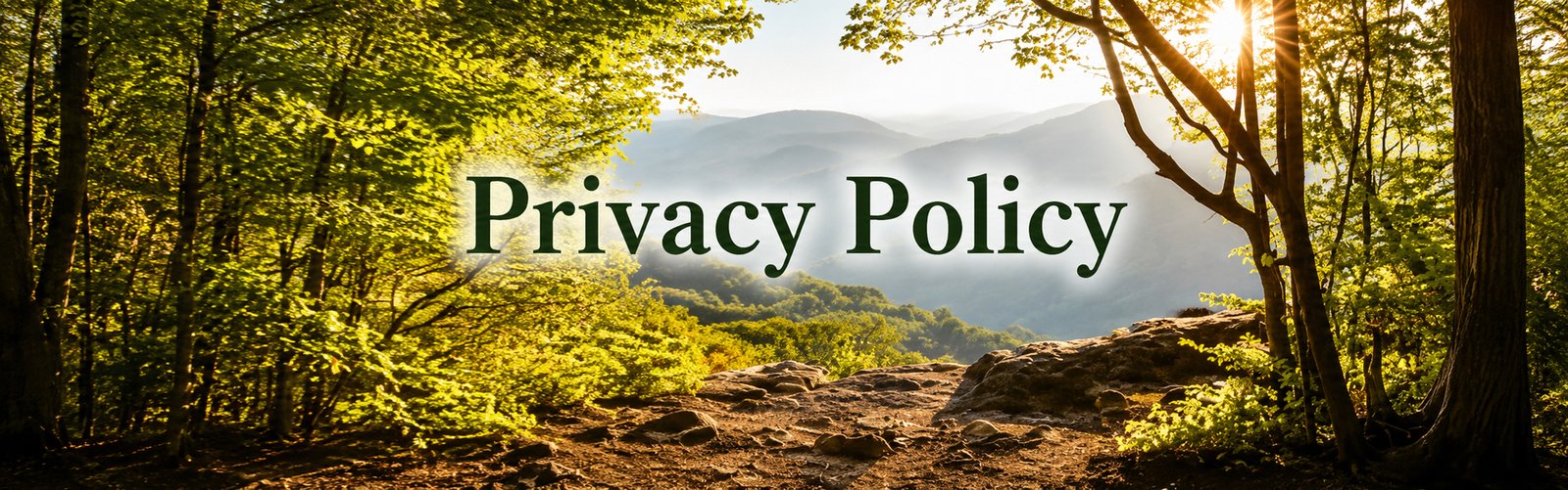 Sunlight shining through an Appalachian forest overlooking the mountains with the words “Privacy Policy.”