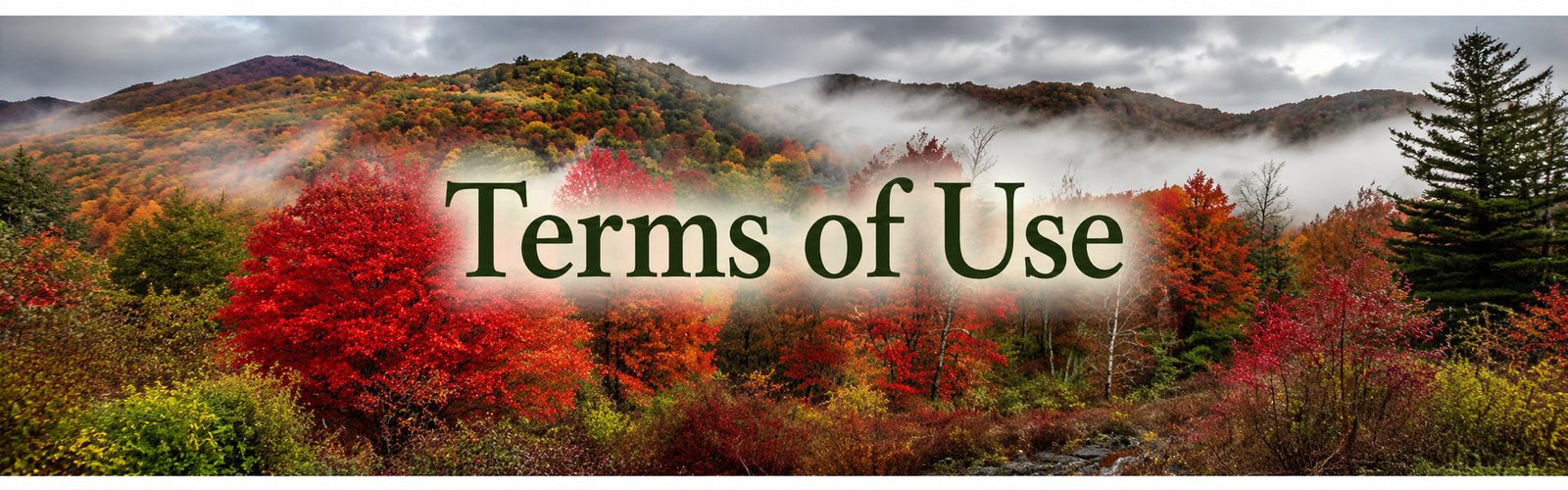 Autumn Appalachian mountains covered in colorful trees and mist with the words “Terms of Use.”