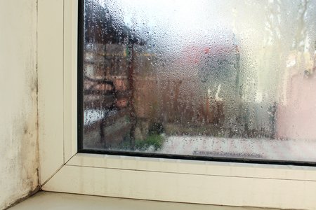Condensation covering a window with dampness and mildew around the window frame
