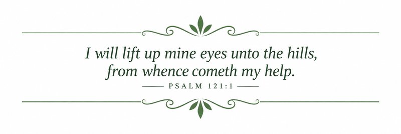 I will lift up mine eyes unto the hills, from whence cometh my help. My help cometh from the LORD, which made heaven and earth.